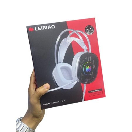 LEIBIAO L001